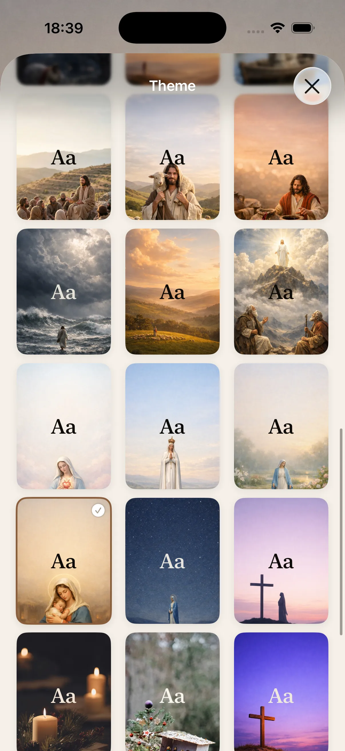 Theme selection screen