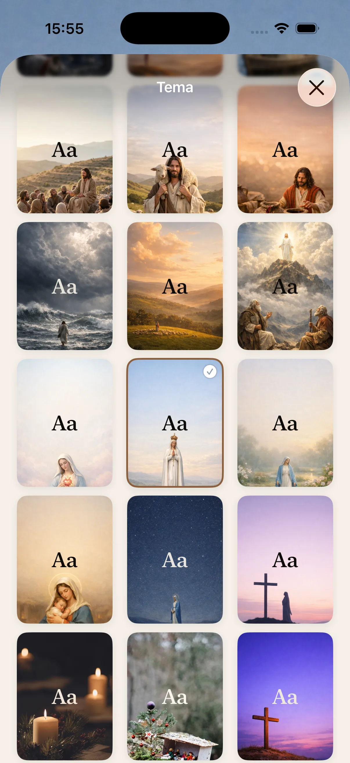 Pantalla de selección de temas