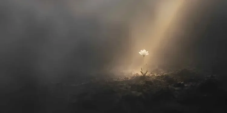 Bible Verses About Hope