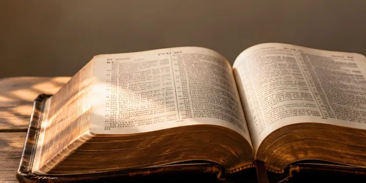 Bible Verses About Wisdom