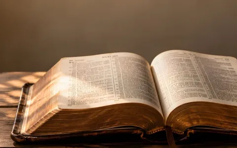 Bible Verses About Wisdom